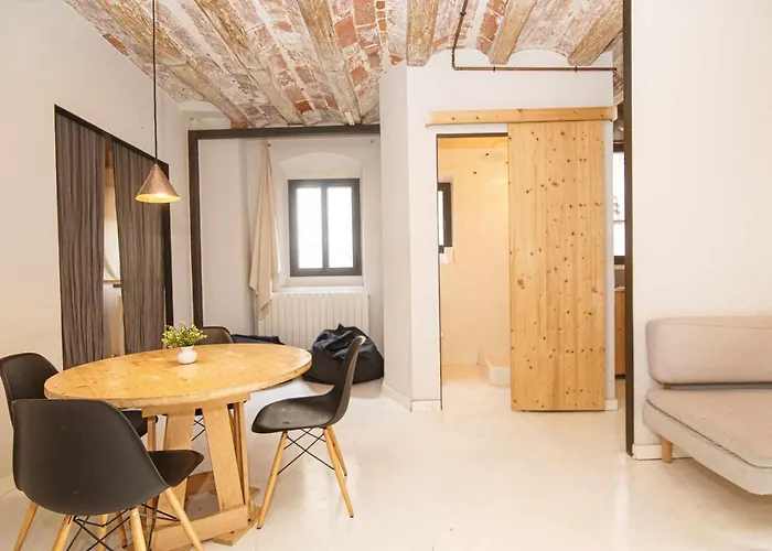 Apartamento Tr Auriga En El Barri Vell Girona